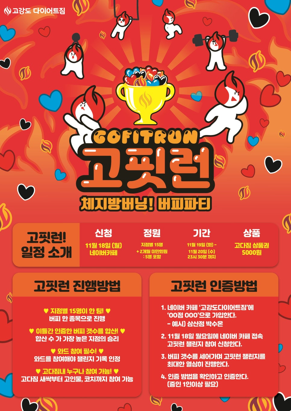 고핏 이미지