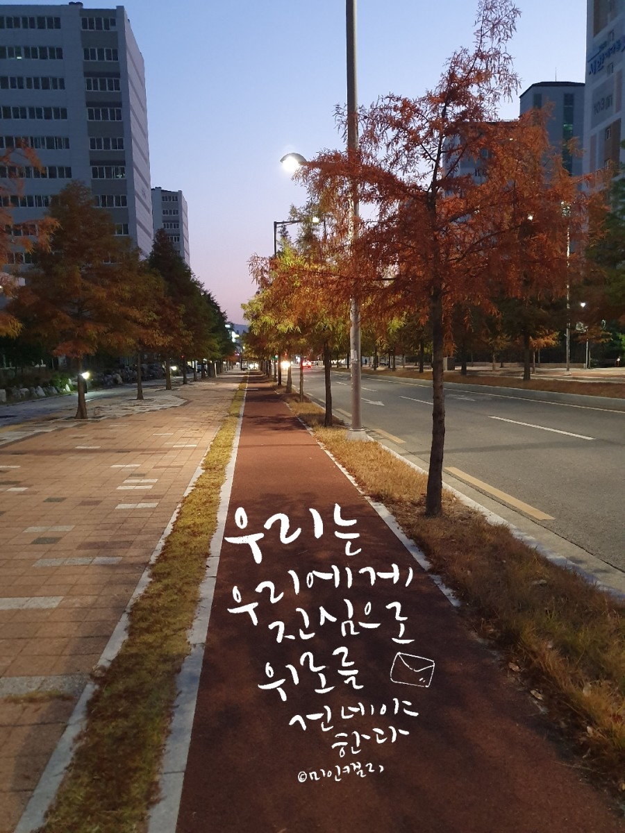 대구혁신미인캘리그라피 이미지