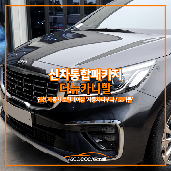 더뉴카 이미지