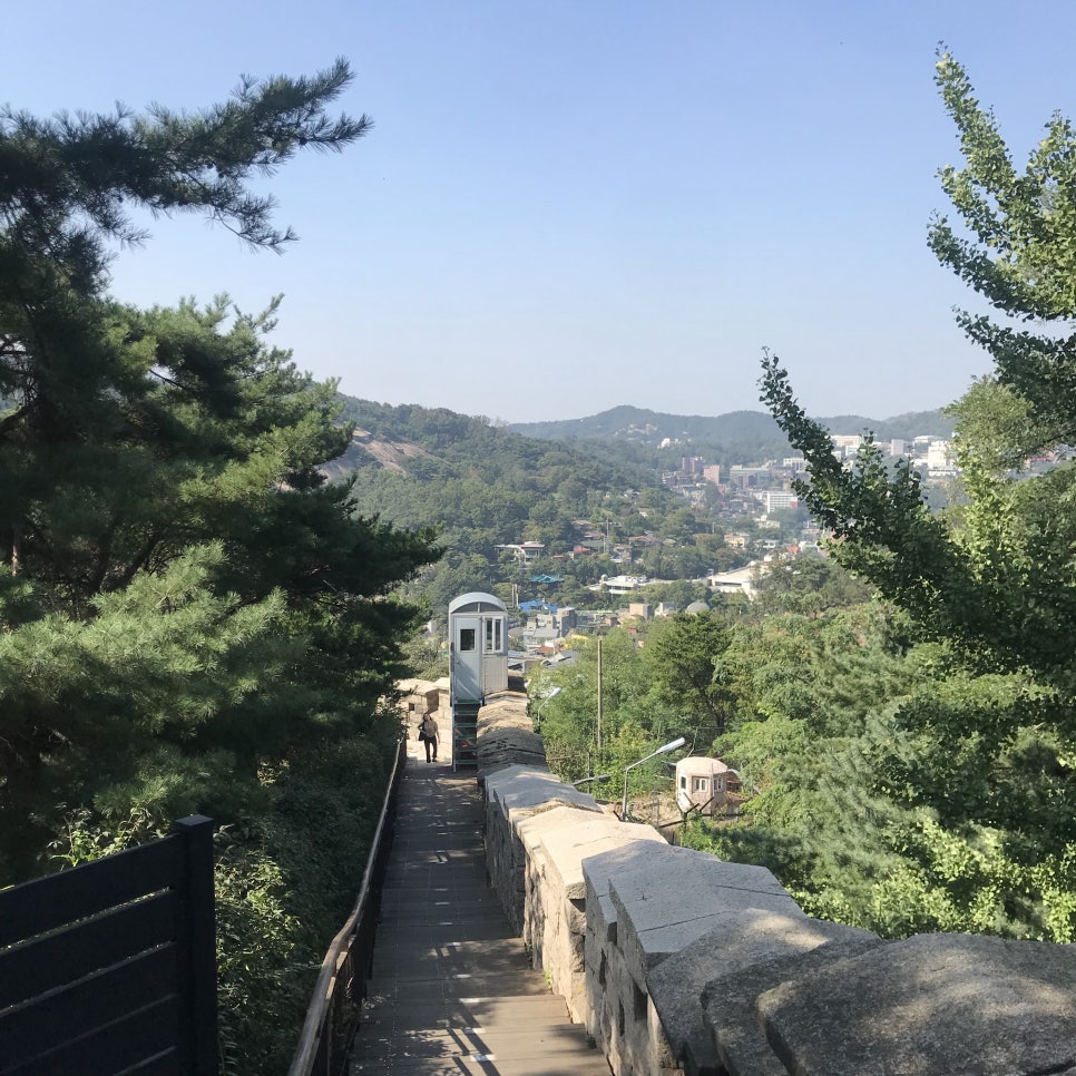 라플레르수 이미지