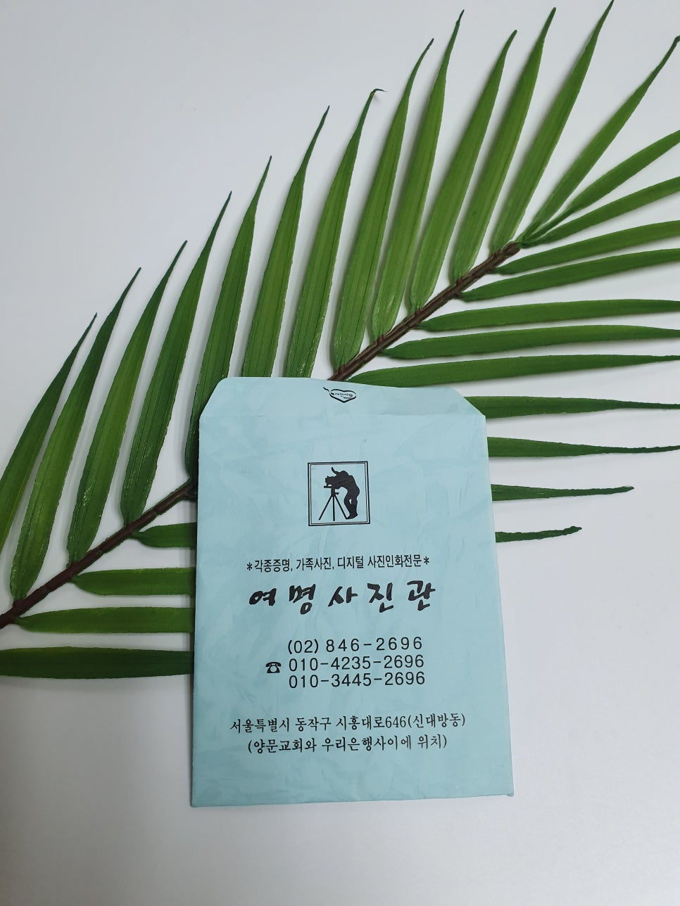 여명사진관 이미지
