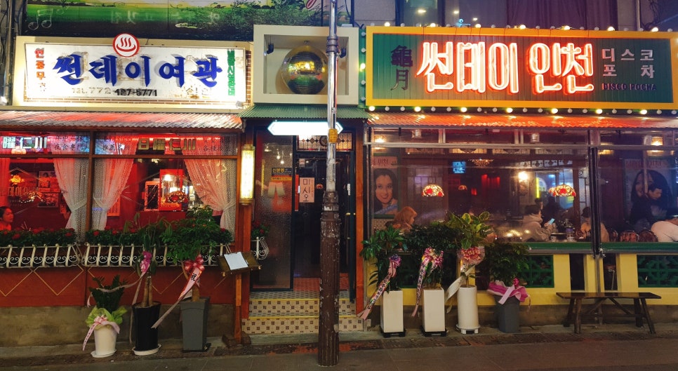 디스코포차 이미지