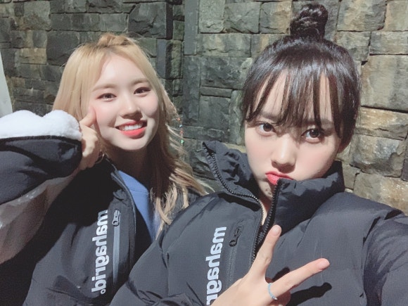 엘리정보 이미지