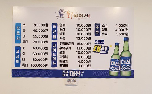 회바라기 이미지
