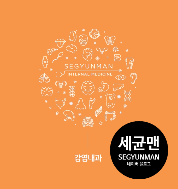 곤디 이미지