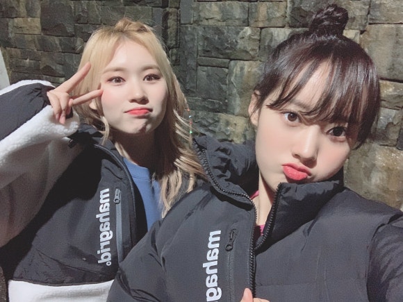 엘리정보 이미지