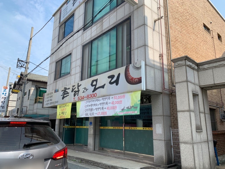 촌닭과오리 이미지