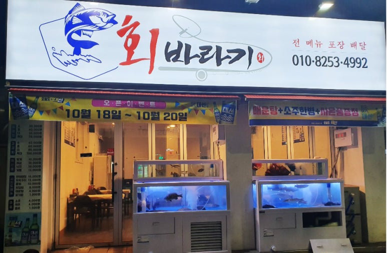 회바라기 이미지