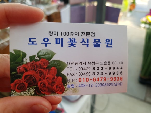 도우미꽃식물원 이미지