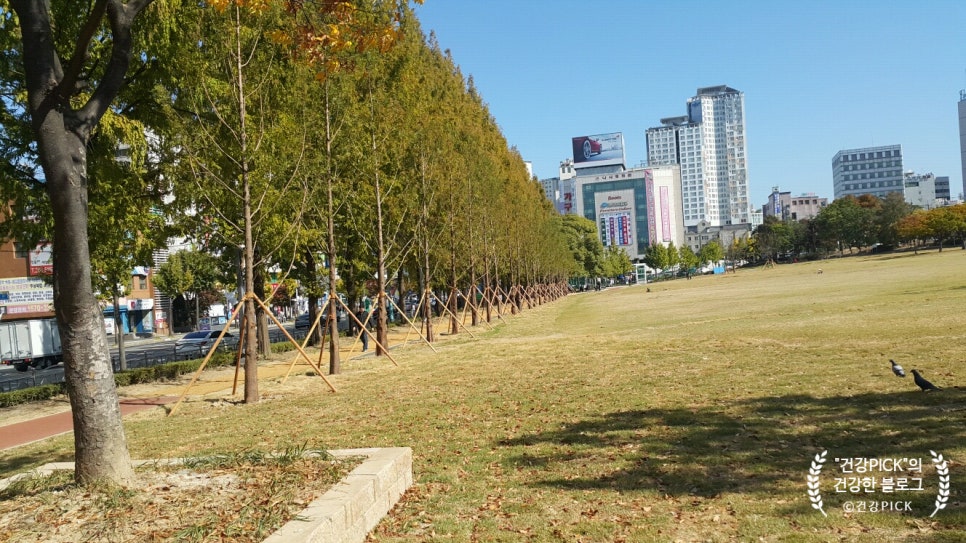 세이치킨 이미지
