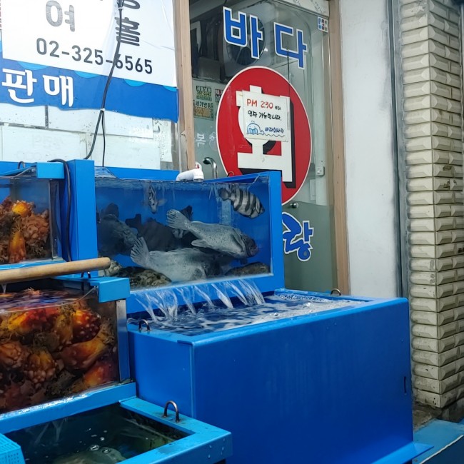 여기는바다회 이미지