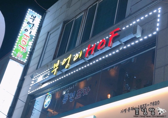 부엉이호프 이미지