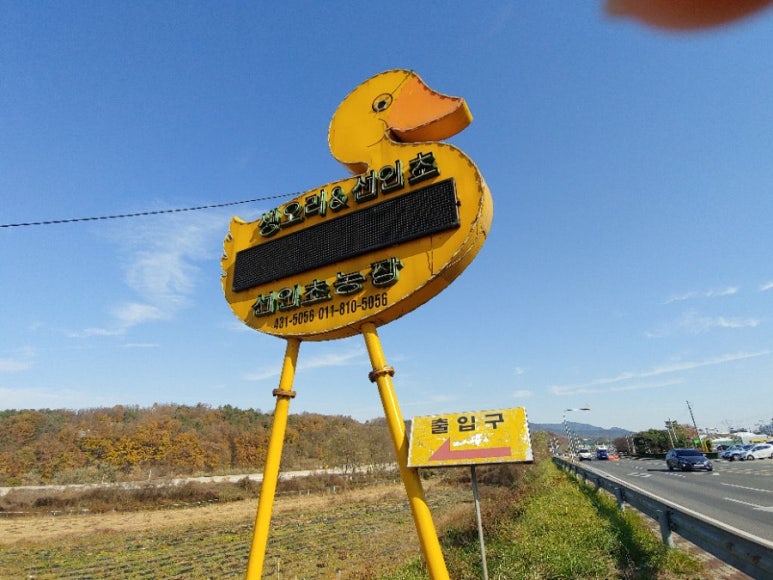 생오리마당 이미지