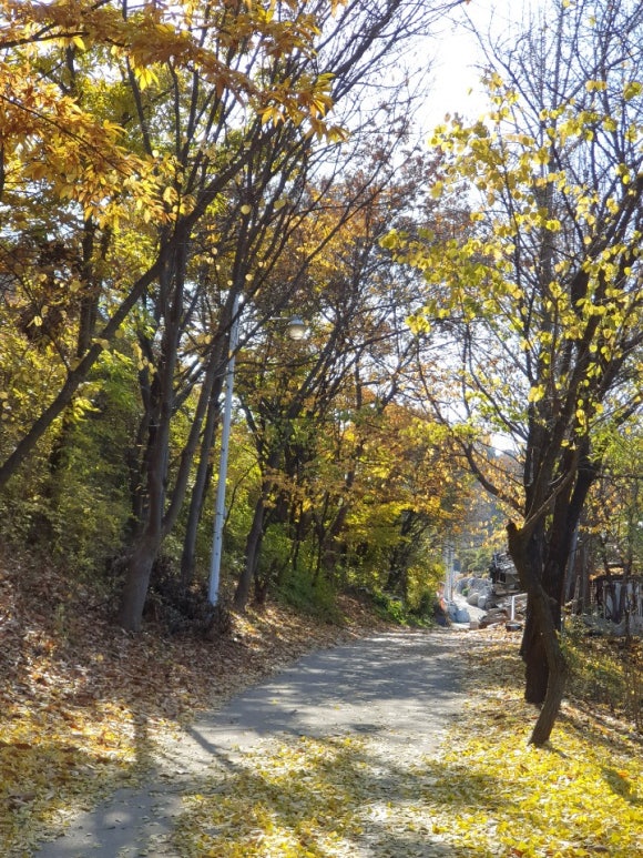 브런치카페마트옆 이미지