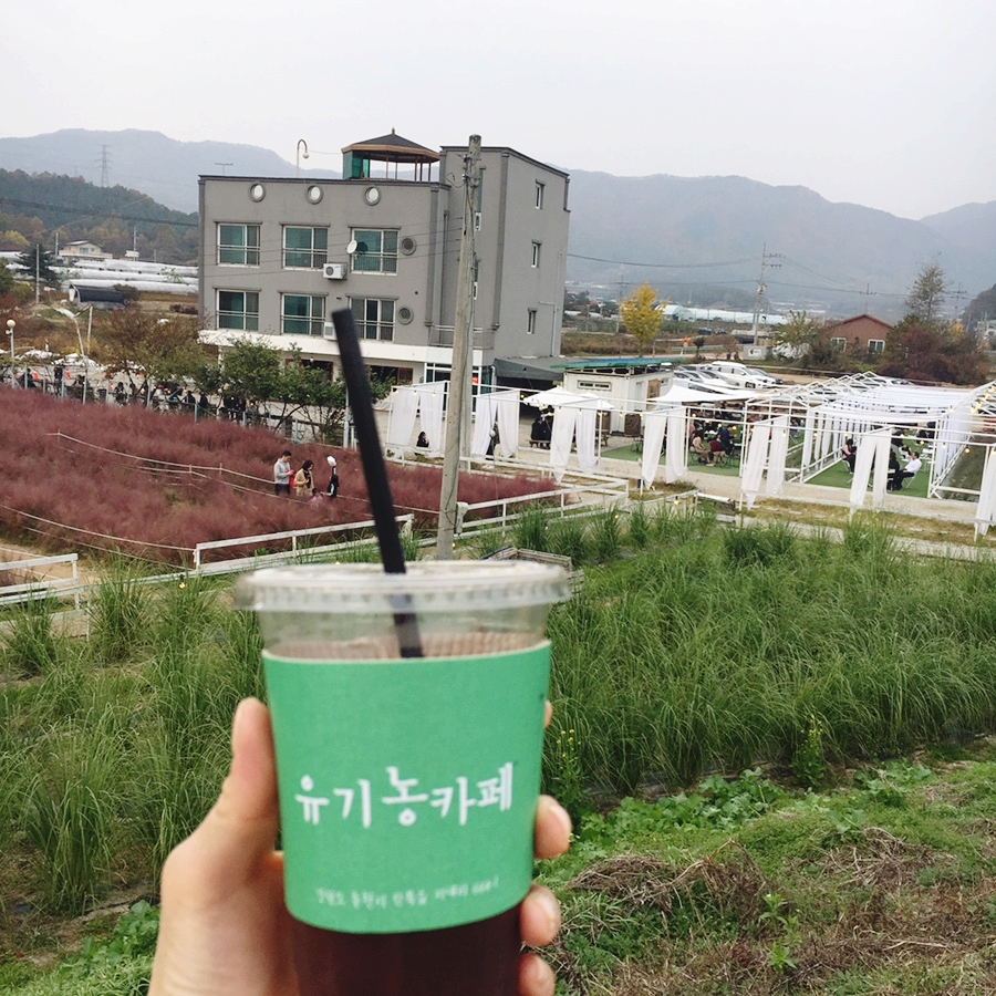 유기농카페 이미지