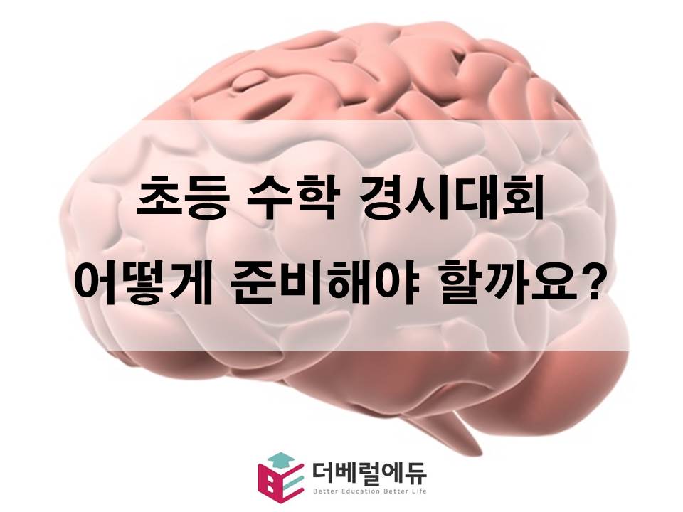 더베럴에듀솔로몬창의교육 이미지