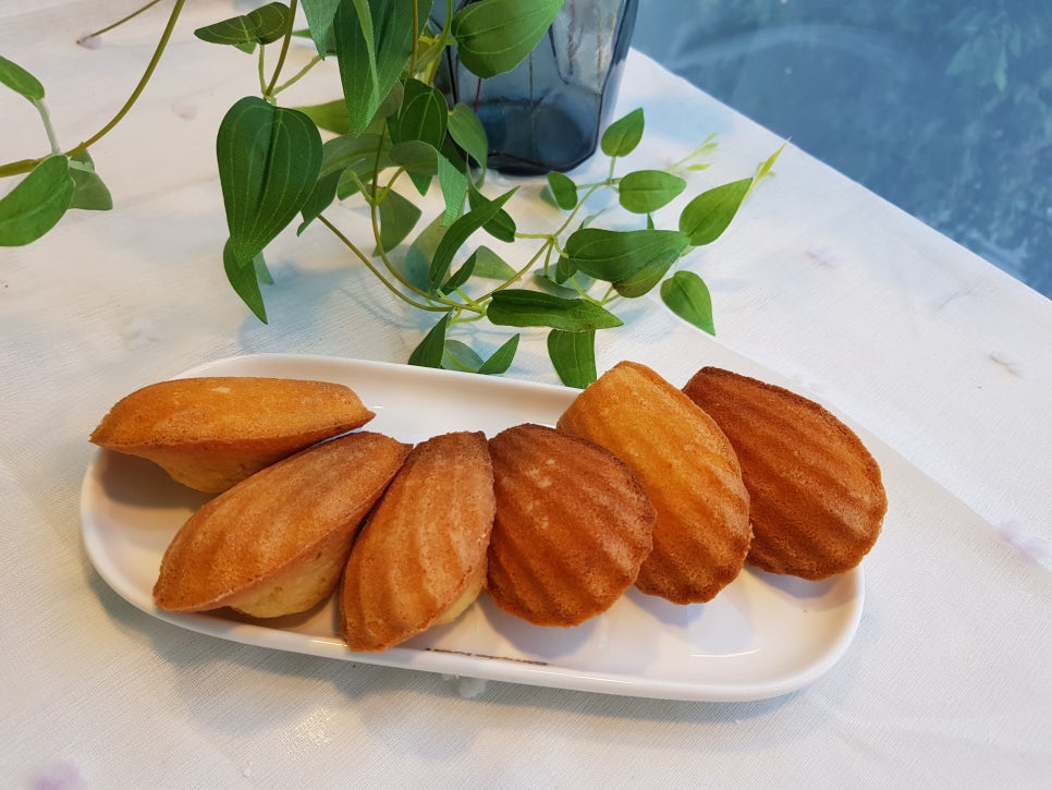 베이킹수 이미지