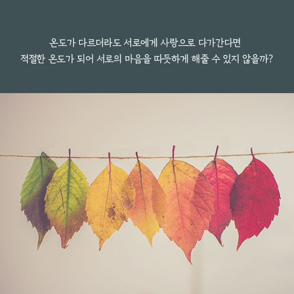 디자인제제 이미지