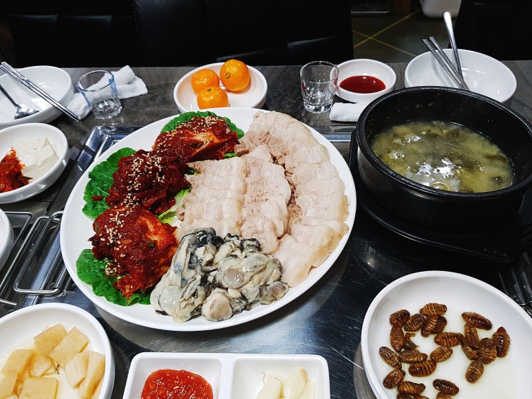 굴따러가세2호 이미지