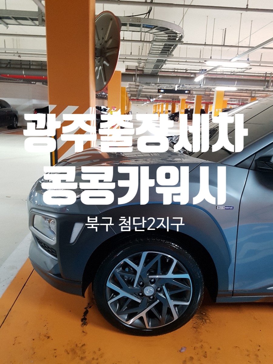 콩콩카워시 이미지