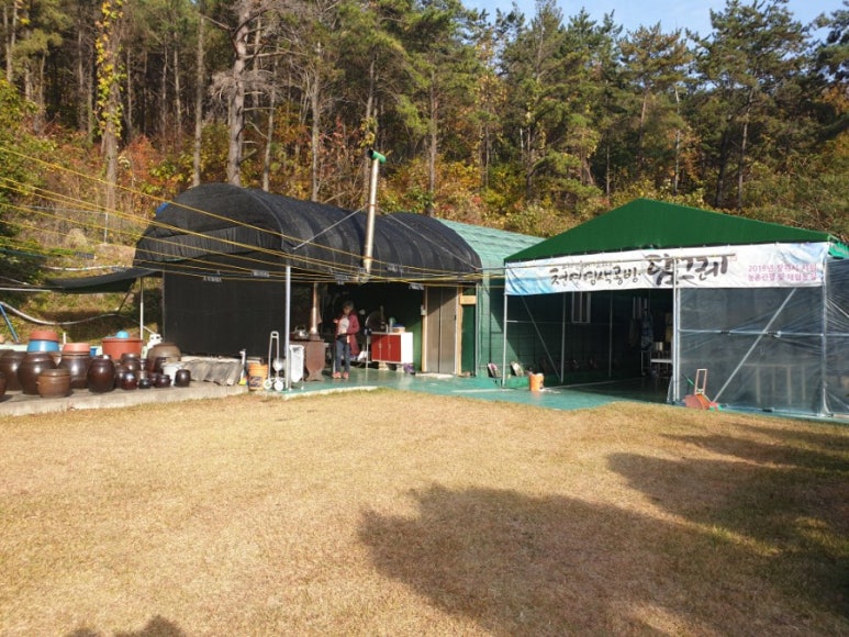 천연염색담그레 이미지