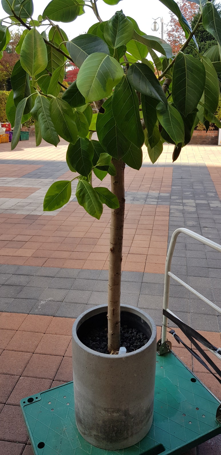 믿음식물원 이미지