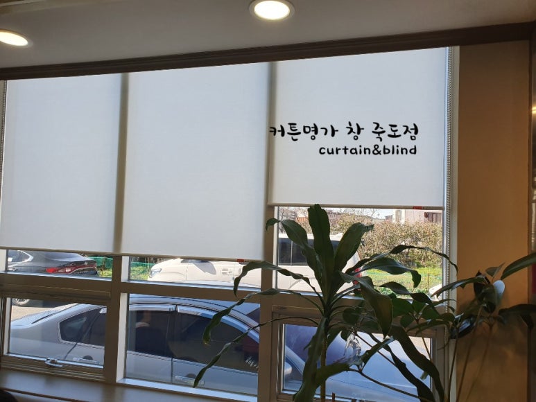 한빛연합의원 이미지