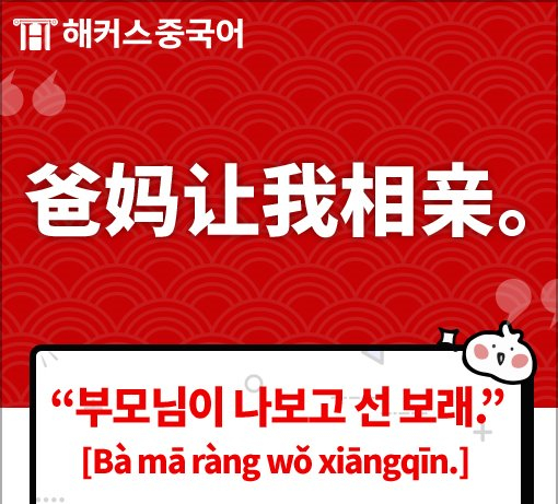 선보래 이미지