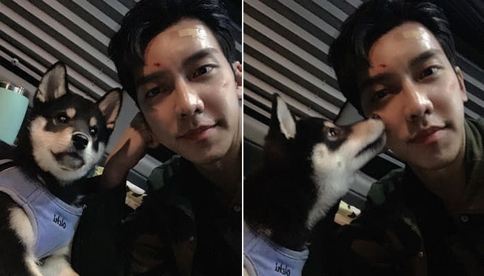 빼로(perro) 이미지