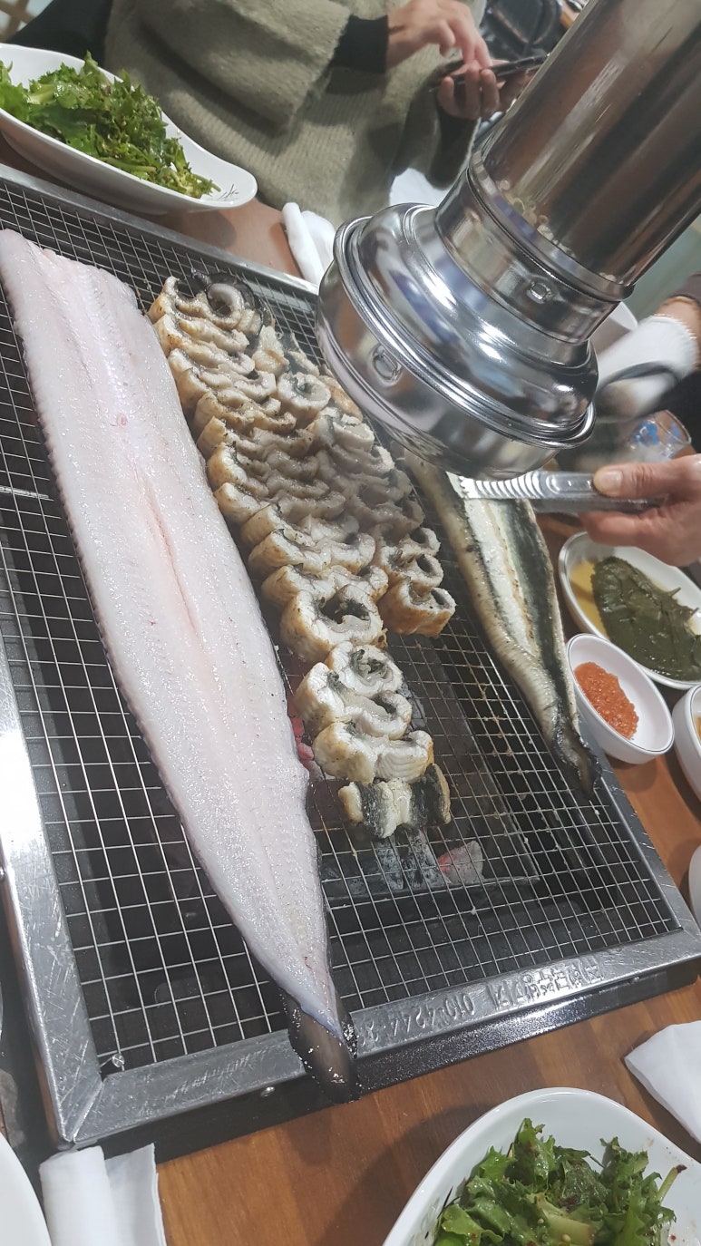 대원민물장어 이미지