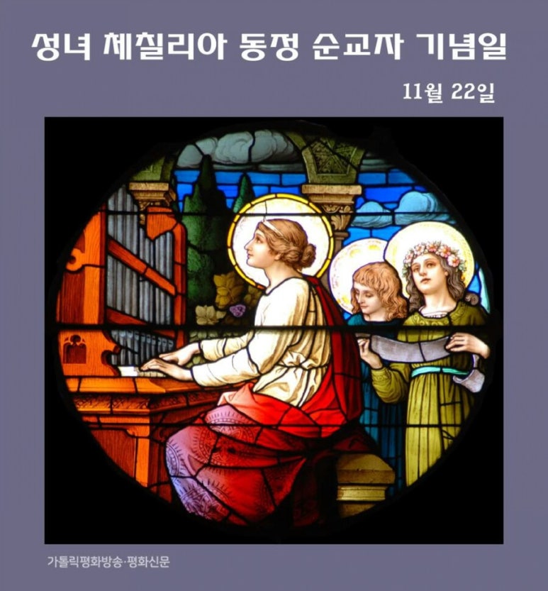 카이킬리아 이미지