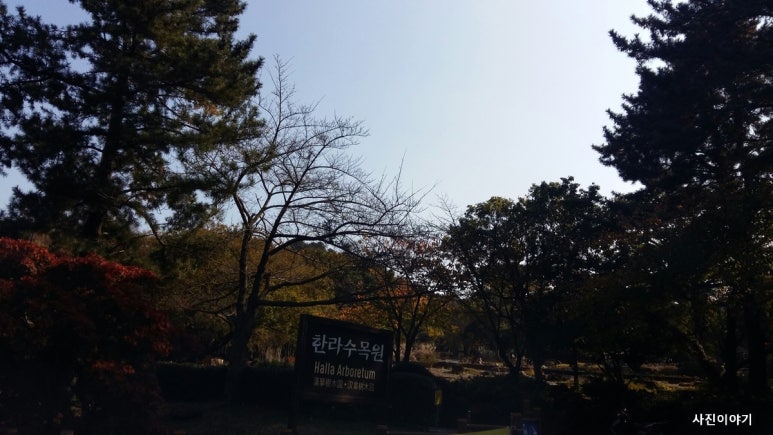 한라대끝자락 이미지