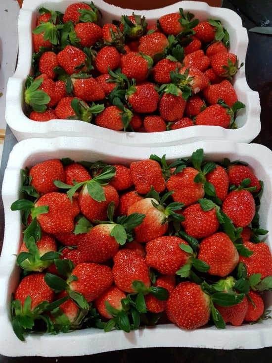 아산청과 이미지