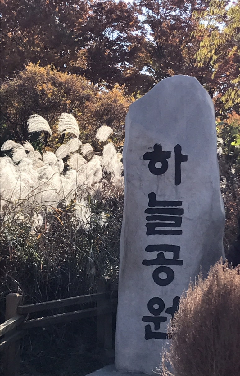 하늘공원호프 이미지