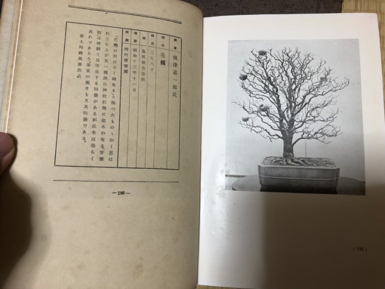명광상회 이미지