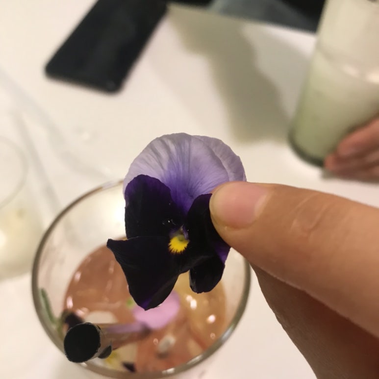 에잇비돌체 이미지