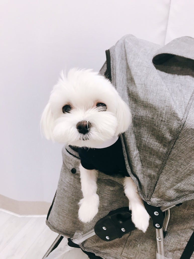 빵야베이킹클래스 이미지