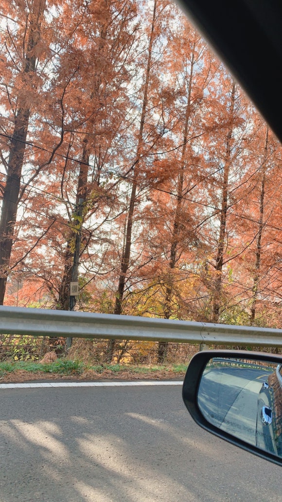 엄마랑놀자키즈글램핑 이미지