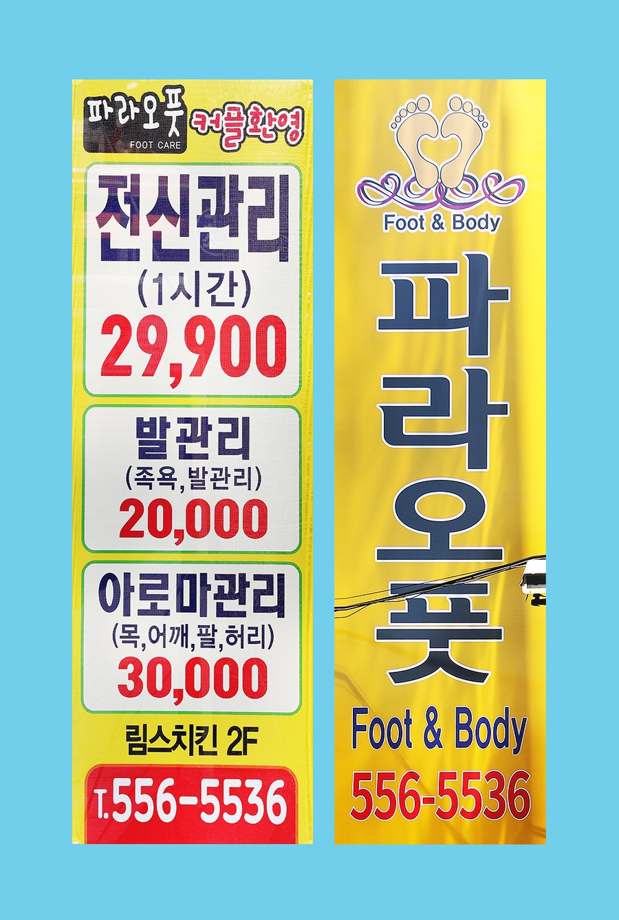 파라오풋 이미지