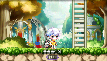 메이플헤어 이미지