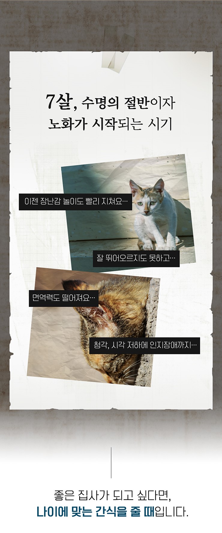 영양치킨 이미지