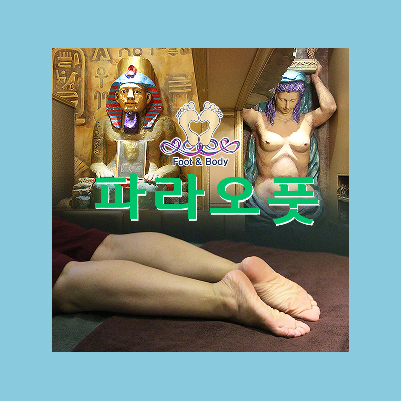 파라오풋 이미지