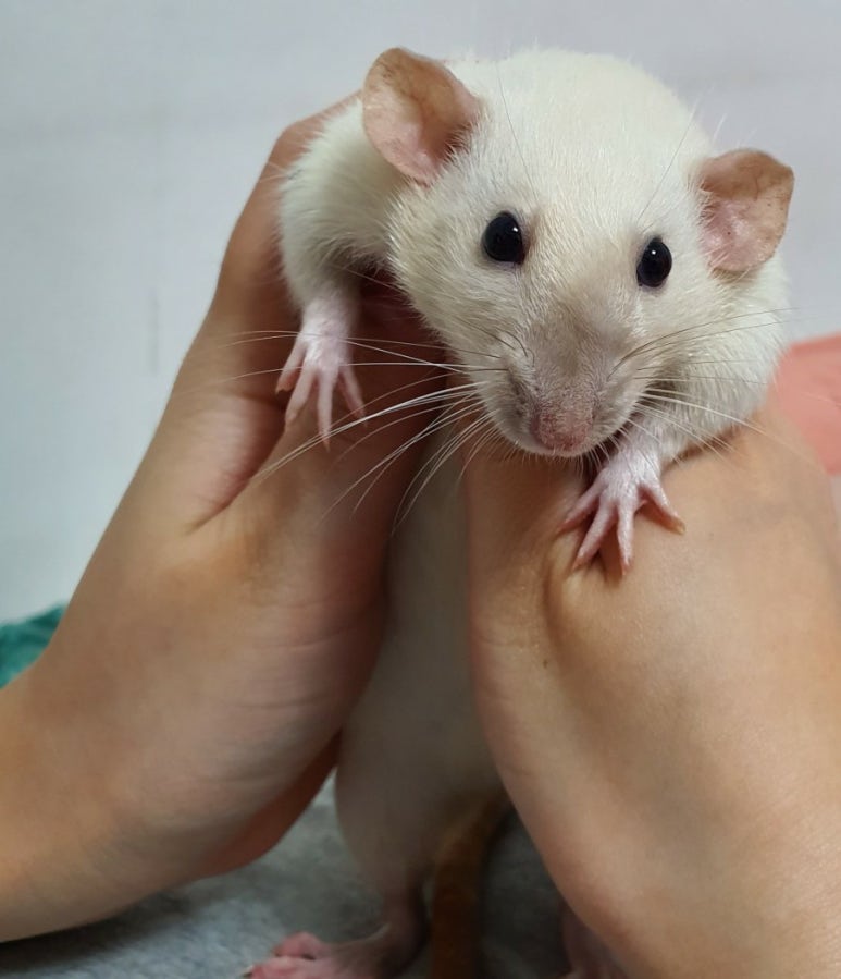 공차 현대천호점 이미지