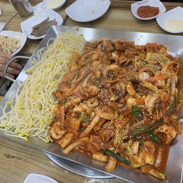 쭈돈나라 이미지