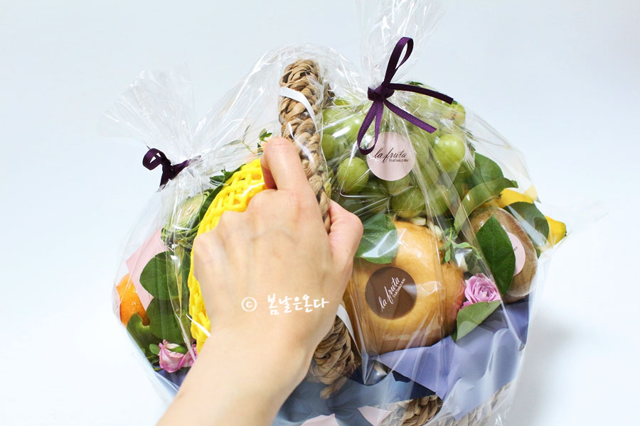 라푸르따 이미지