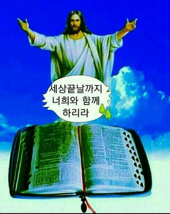 패스트빗 이미지