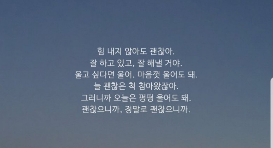 에스이와이 이미지