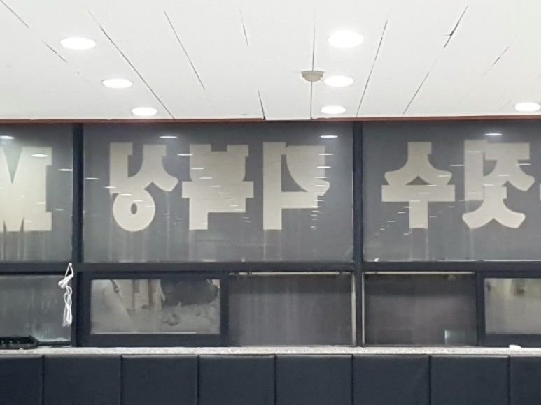 진주킹덤주짓수 이미지