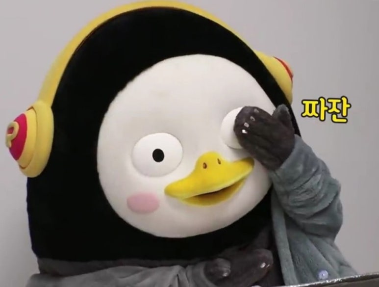 솝왁싱 이미지