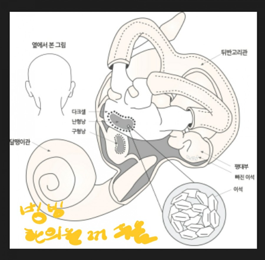 세반헤어 이미지